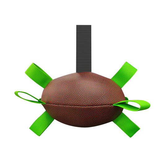 Gigli Pet interactive ball for dog training, showing a playful dog engaging with the colorful training ball in a home setting.