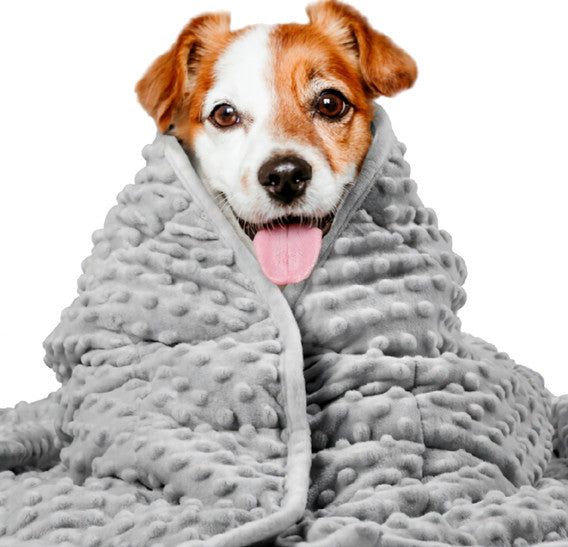Gigli Pet washable anxiety blanket in calming colors, designed to comfort and soothe pets with anxiety or stress.