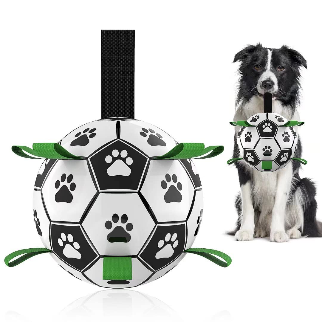 Gigli Pet interactive ball for dog training, featuring a colorful, durable design to engage and entertain dogs during training sessions.