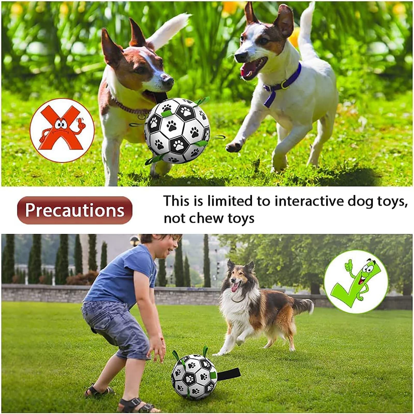 Interactive Gigli Pet dog training ball for engaging and stimulating play, designed to improve obedience and mental agility.