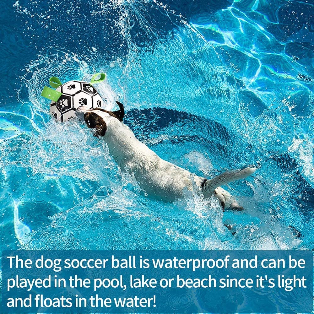 Interactive ball for dog training by Gigli Pet, featuring bright colors and durable design for engaging play and training sessions.