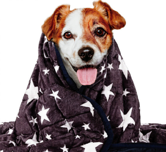 Gigli Pet washable anxiety blanket in calming shades, designed to provide comfort and reduce stress for pets.