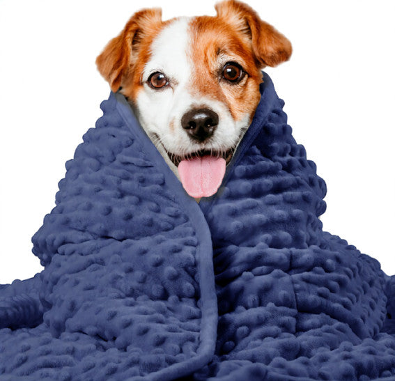 Gigli Pet washable anxiety blanket in calming colors, designed to comfort pets and reduce stress.
